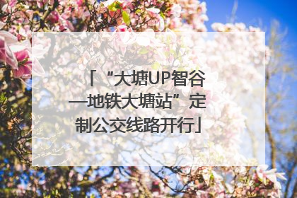 “大塘UP智谷—地铁大塘站”定制公交线路开行
